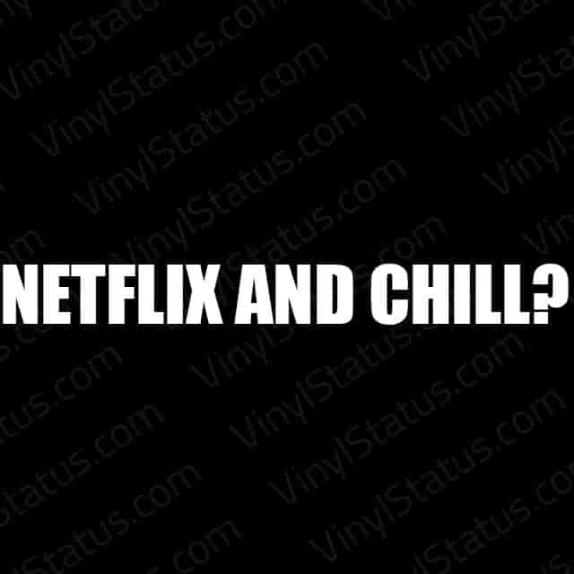 Netflix and Chill Decal